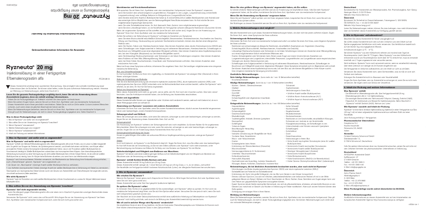 Vorschaubild einer herunterladbaren Datei Titelseite der PDF-Datei Ryzneuta Gebrauchsinformation