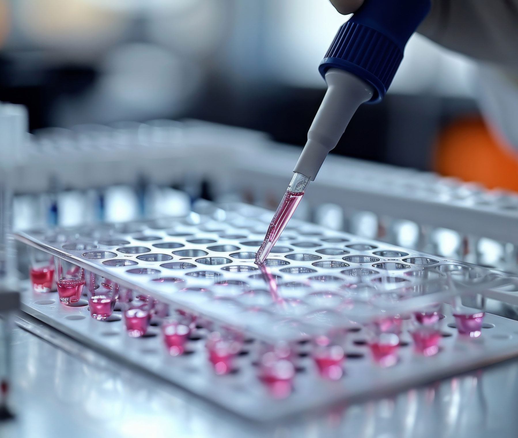 Eine Pipette füllt Flüssigkeit in einer Forschungsumgebung ab.