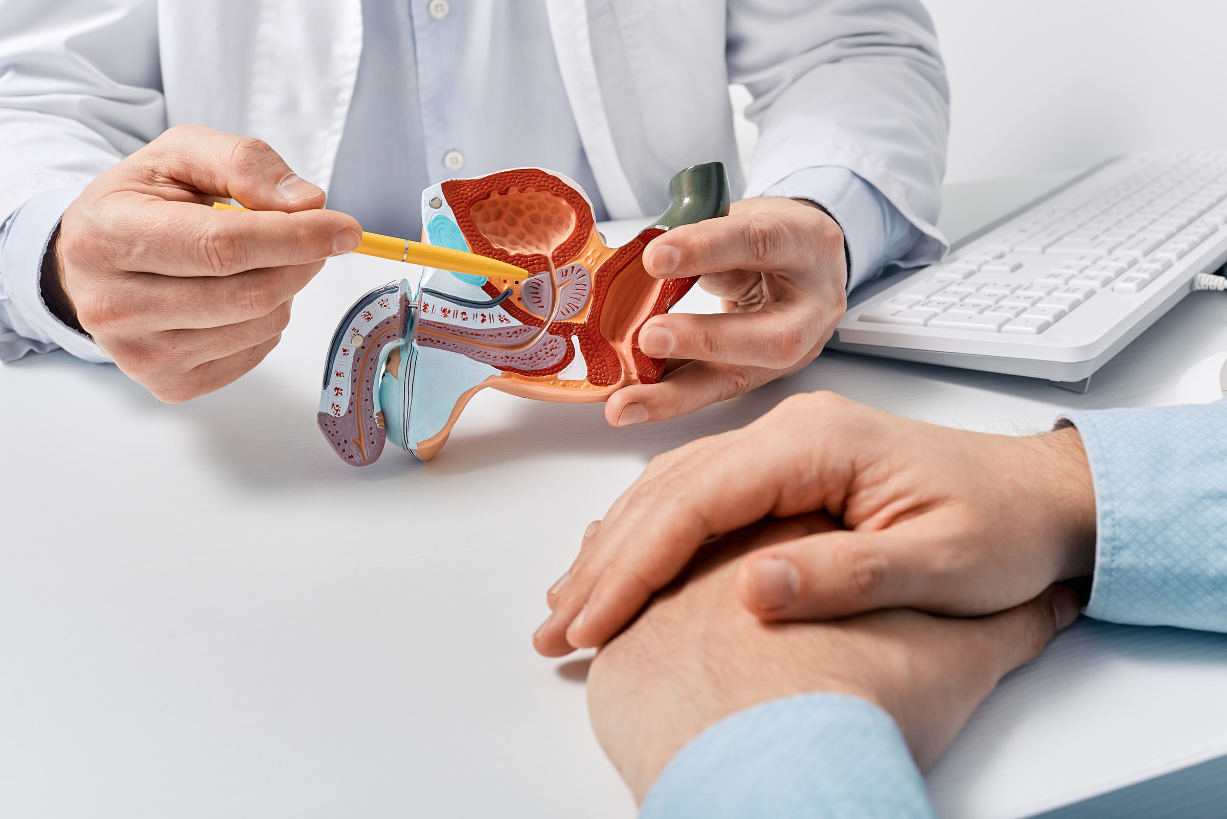 [Translate to English:] Arzt diagnostiziert bei einem Patienten ein Prostatakarzinom und berät ihn zur Behandlung.