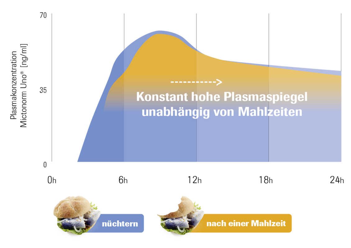 Infografik veranschaulicht konstant hohe Plasmaspiegel mit Mictonorm Uno®.
